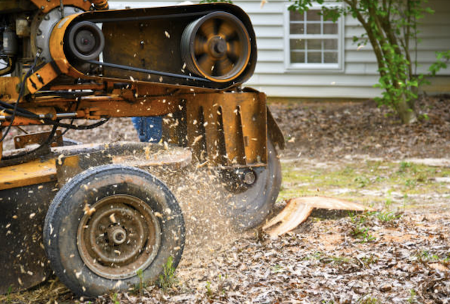 stump grinding worcester ma